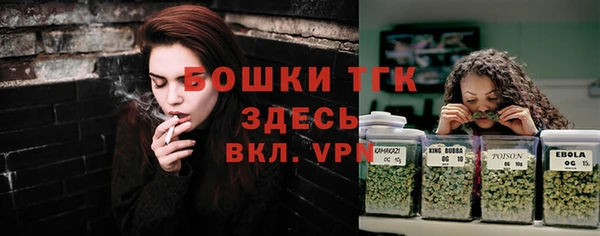 индика Бугульма