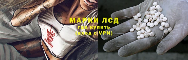 индика Бугульма