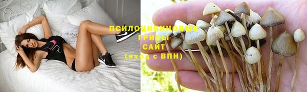 меф Бородино