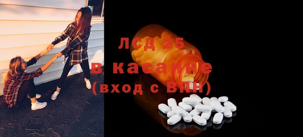 индика Бугульма