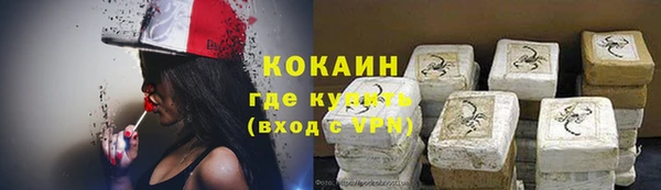 индика Бугульма