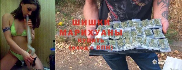 мяу мяу кристалл Богданович