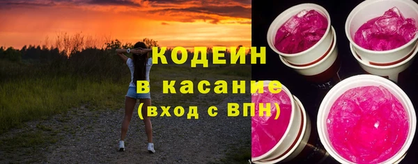 индика Бугульма