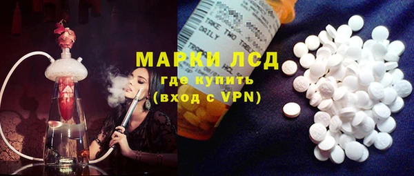 индика Бугульма