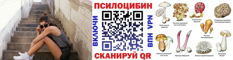 Галлюциногенные грибы Magic Shrooms Вяземский